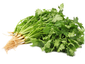 Aşotu (Salamura)